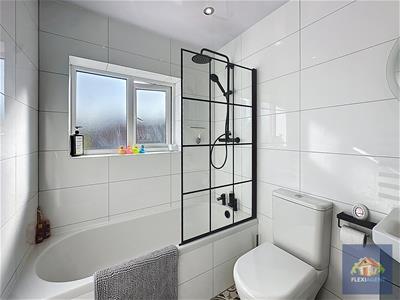 Picture 12